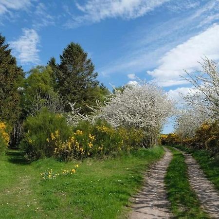 Lower Bruntlands Fochabers Kültér fotó