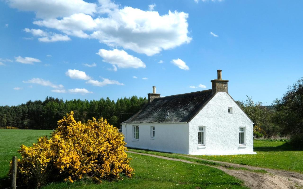 Lower Bruntlands Fochabers Kültér fotó