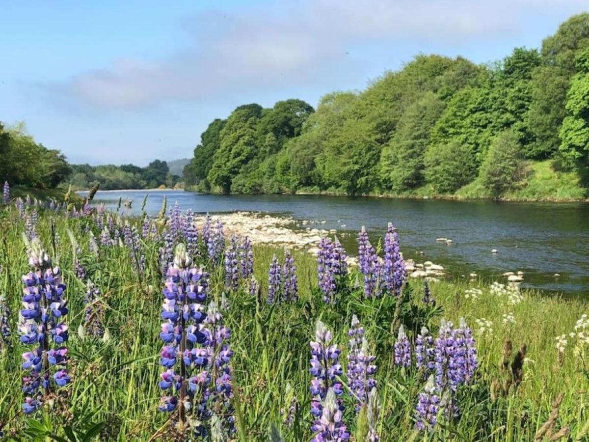 Lower Bruntlands Fochabers Kültér fotó